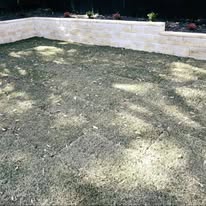 Freshly prepared lawn area beside a low sandstone retaining wall